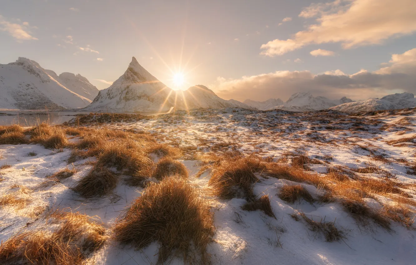 Photo wallpaper snow, mountains, vegetation, desert, bumps