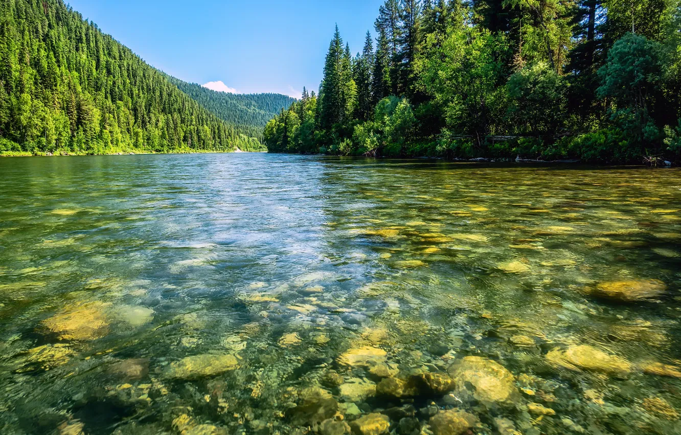 Photo wallpaper forest, lake, stones, shore, the bottom, pond