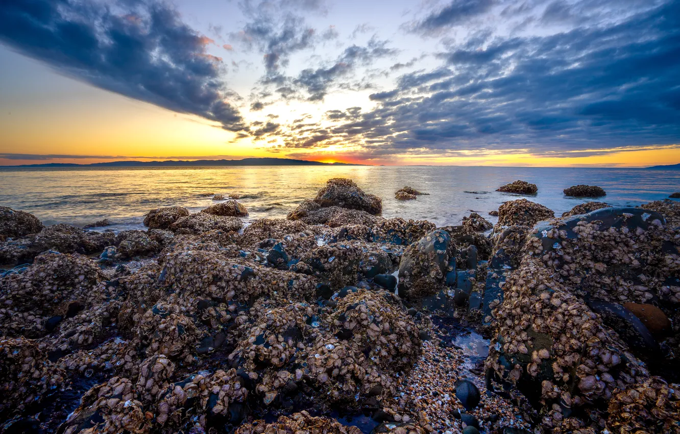 Photo wallpaper sea, sunset, stones, coast