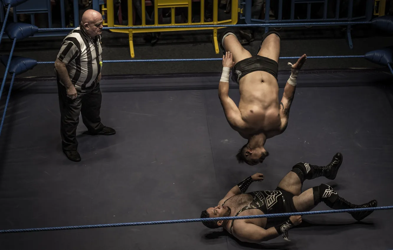 Photo wallpaper sport, fight, the ring