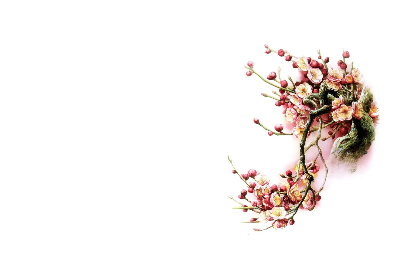 Photo wallpaper flowers, bird, minimalism, spring, Sakura, art, East