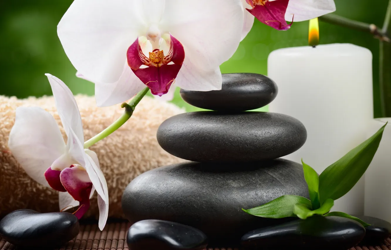 Photo wallpaper stones, Orchid, flowers, Spa, orchid, stones, candle, spa