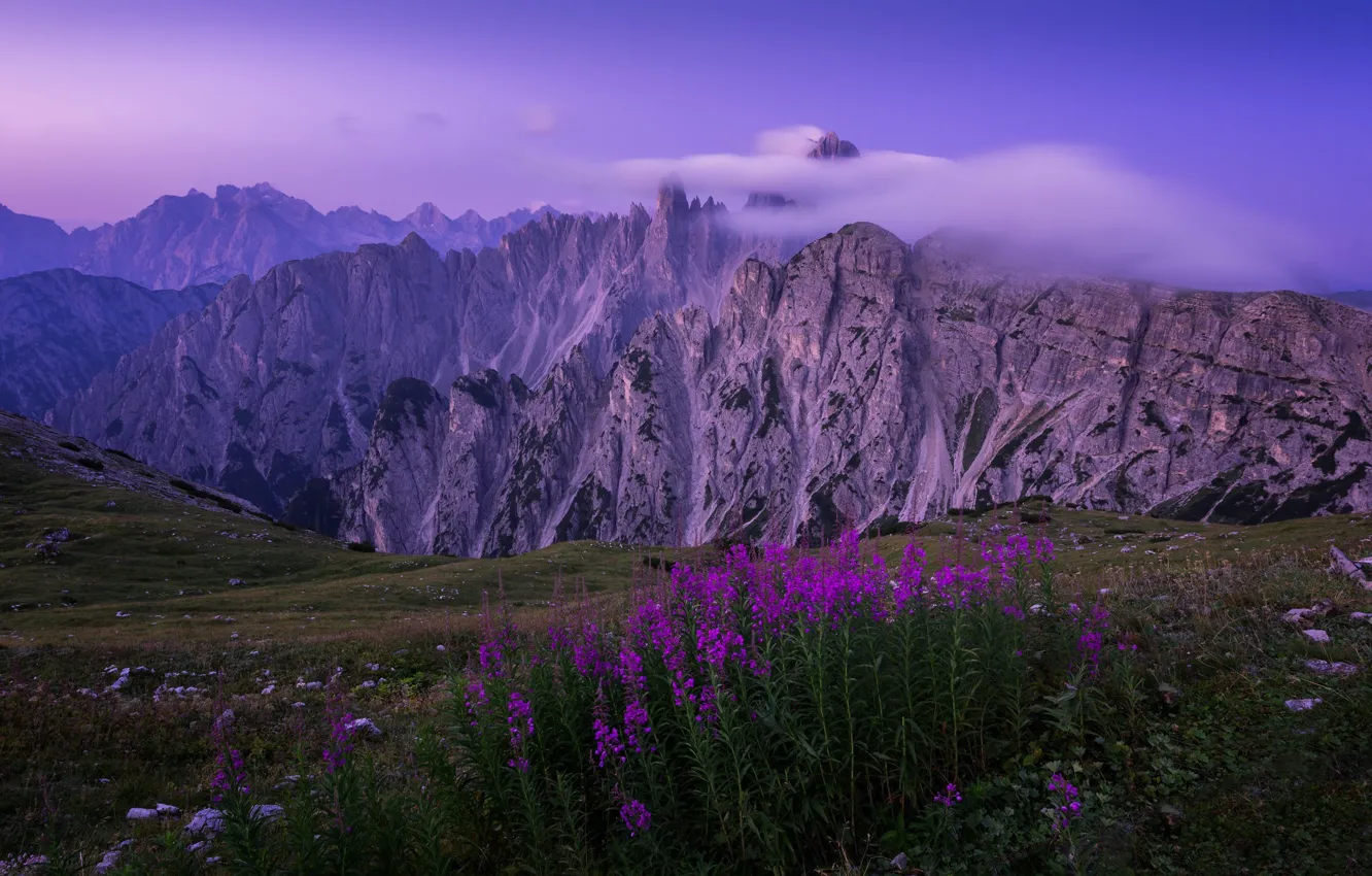 Photo wallpaper clouds, flowers, mountains, The Dolomites