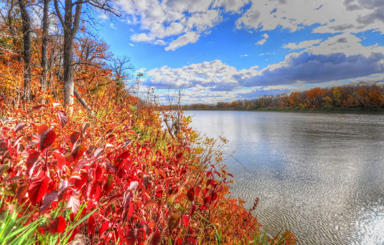 Photo wallpaper autumn, forest, the sky, leaves, trees, river, the crimson
