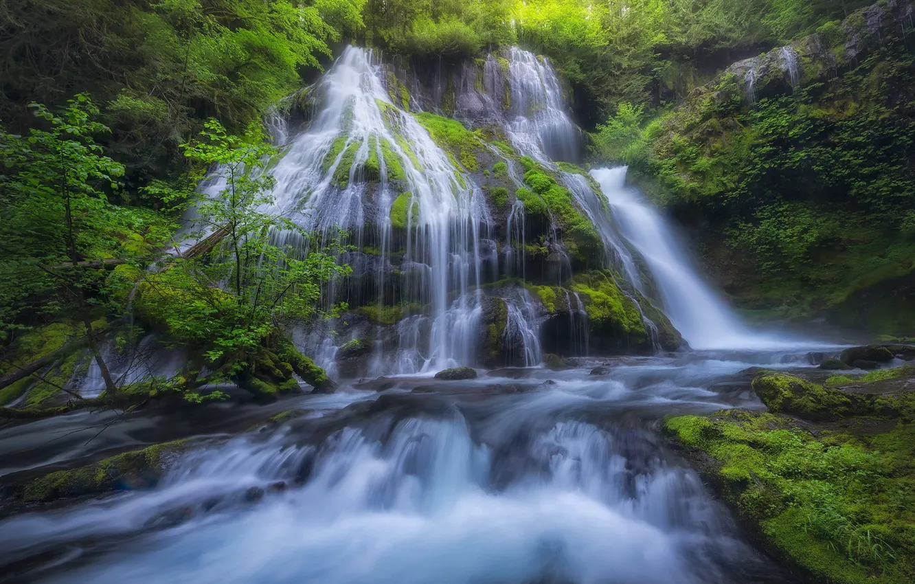 Photo wallpaper river, waterfall, moss, cascade, Washington, Columbia River Gorge, Panther Creek Falls, Gifford Pinchot National Forest