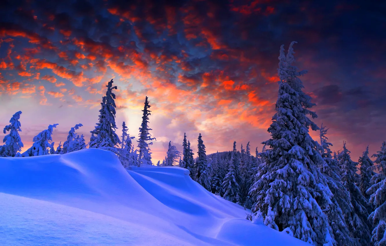 Photo wallpaper winter, the sky, clouds, snow, landscape, mountains, nature, white