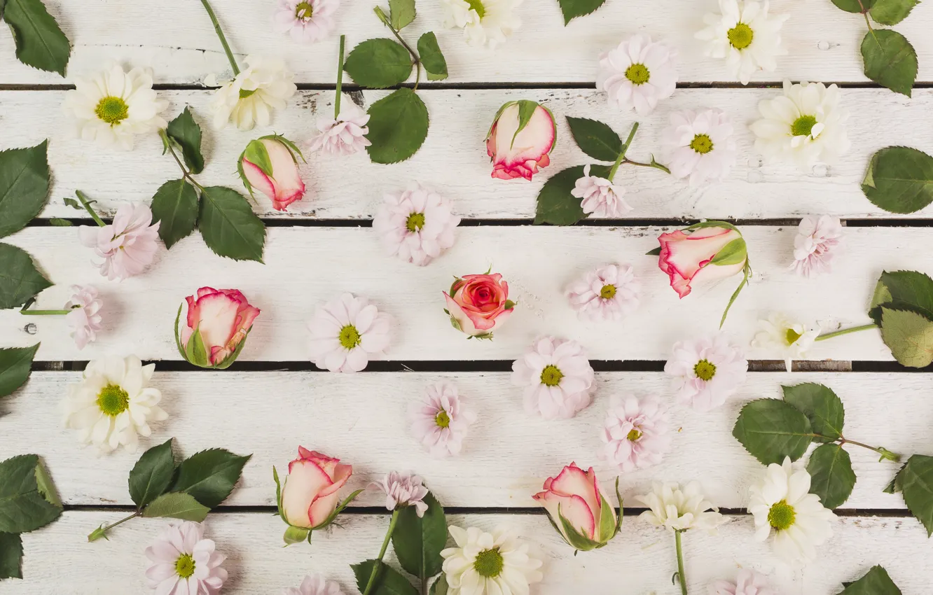 Photo wallpaper flowers, roses, buds, flower, wood, pink, leaves, spring