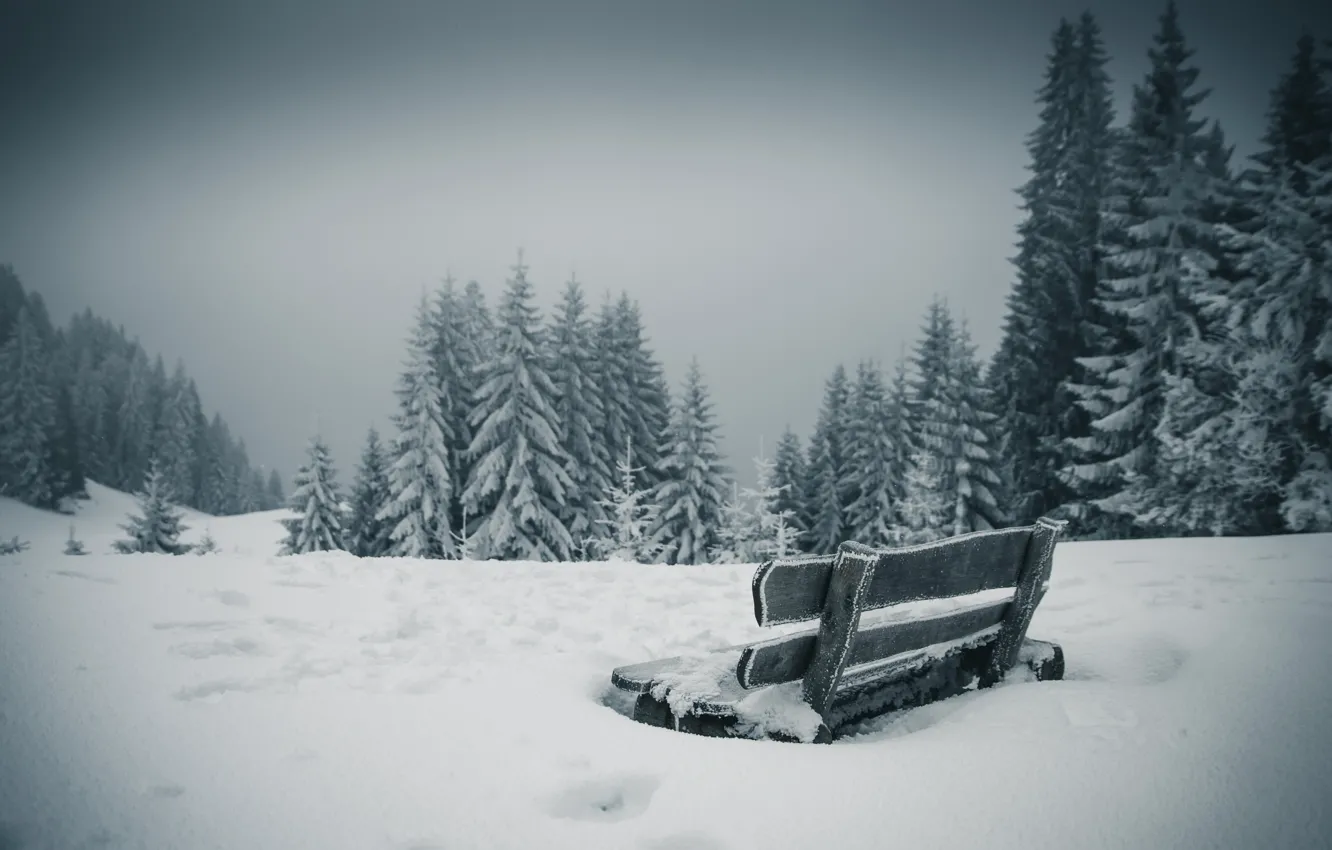 Photo wallpaper winter, snow, bench
