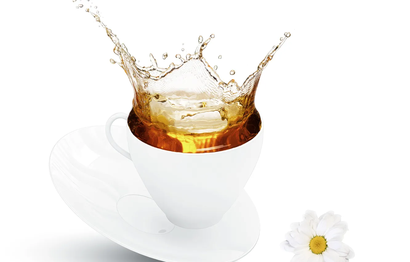 Photo wallpaper flowers, squirt, tea, Cup, chrysanthemum
