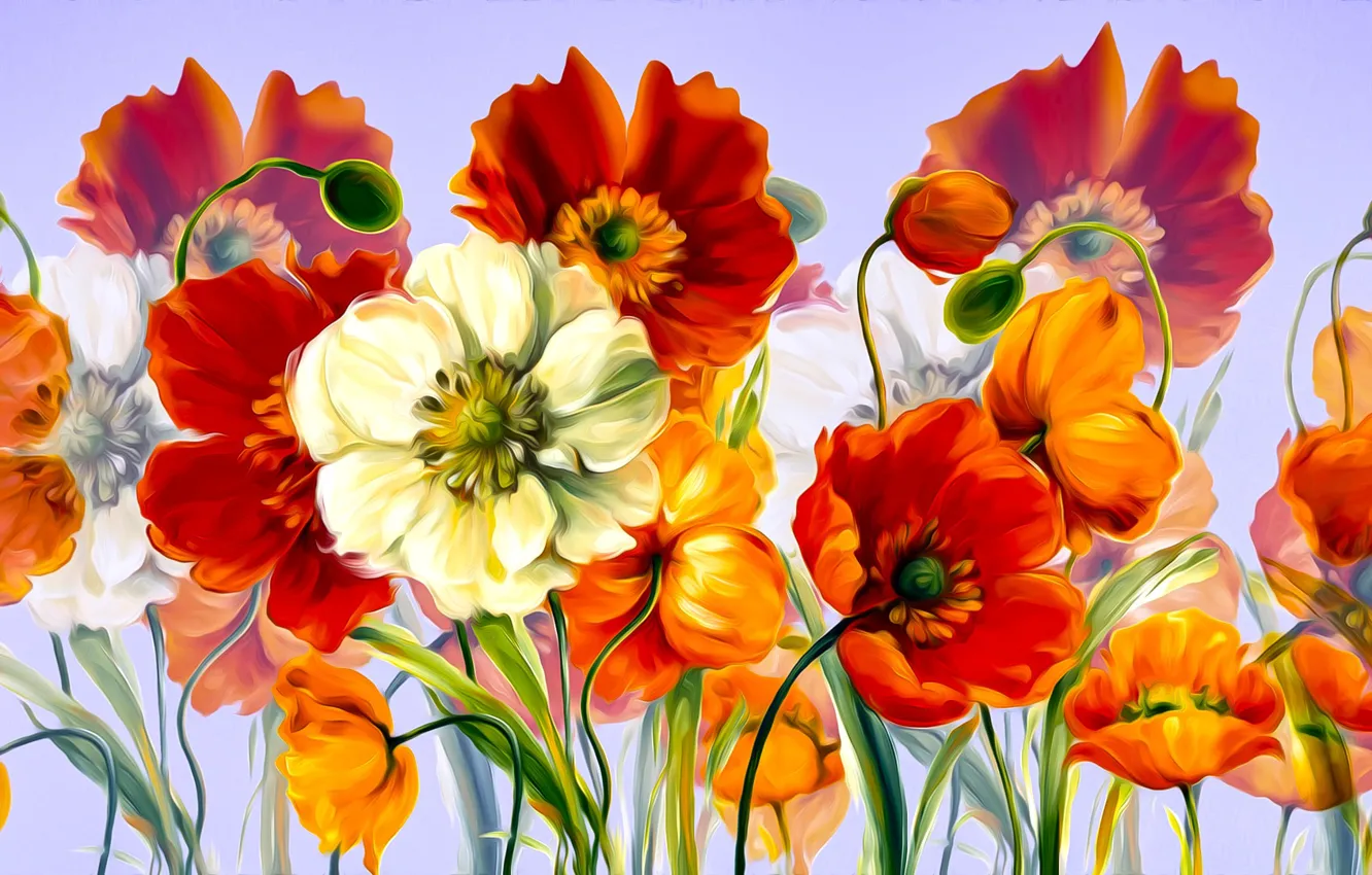 Photo wallpaper Maki, Graphics, Flowers, Colored