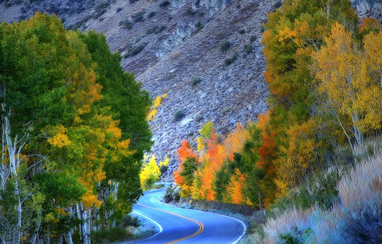 Photo wallpaper road, autumn, trees, mountains, CA, USA, Eastern Sierra