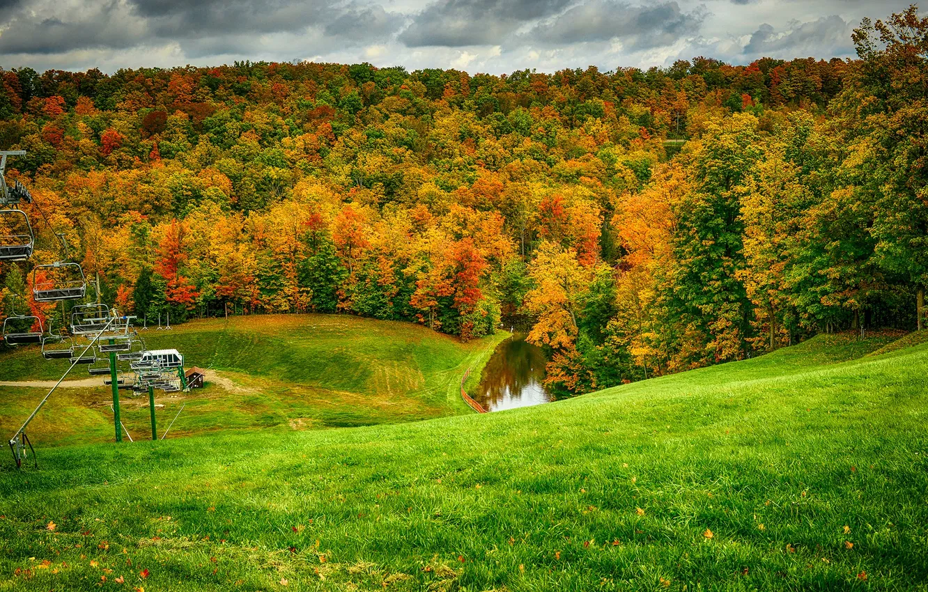 Photo wallpaper autumn, forest, grass, leaves, hills, lift