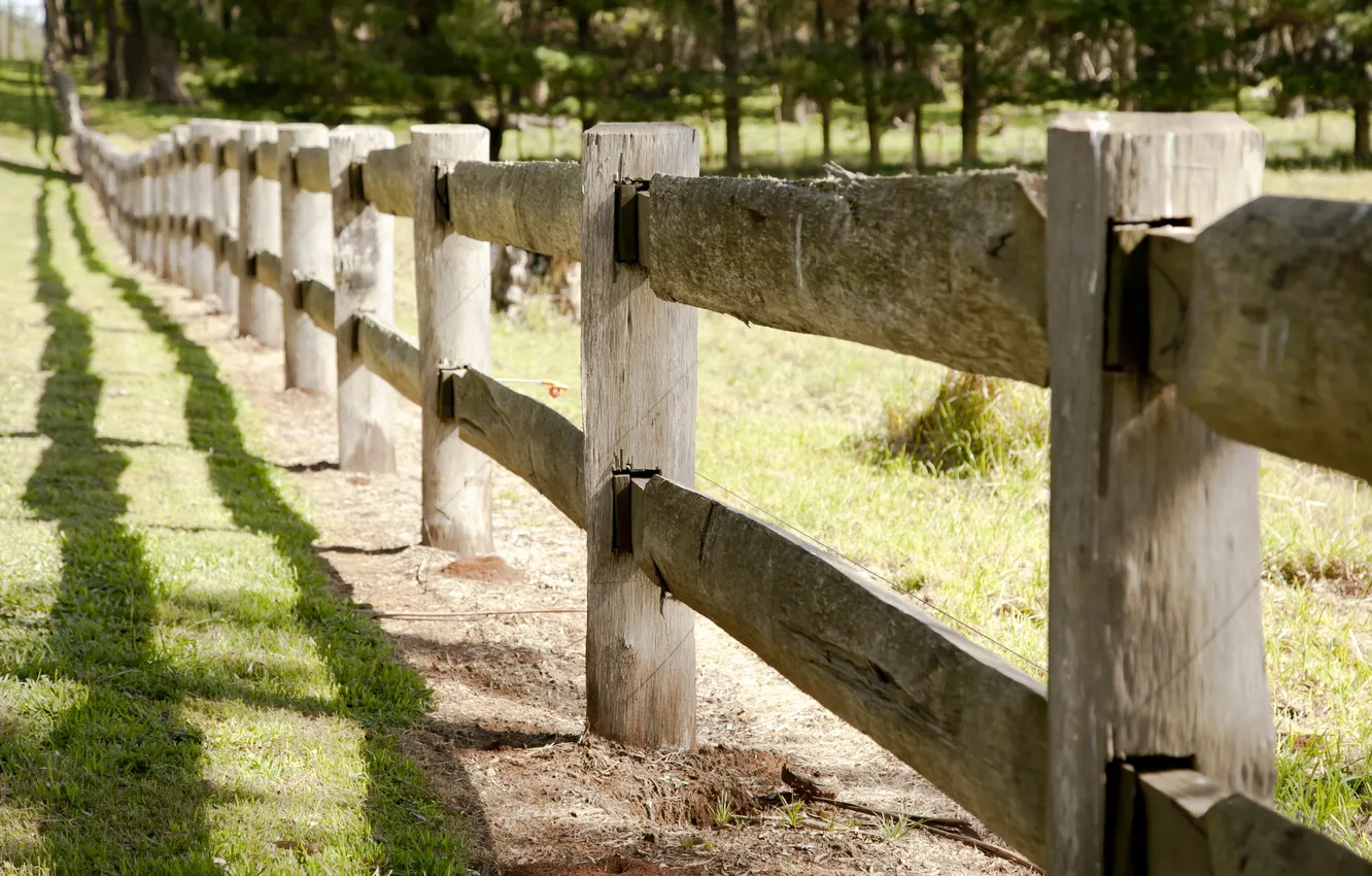 Photo wallpaper summer, nature, the fence