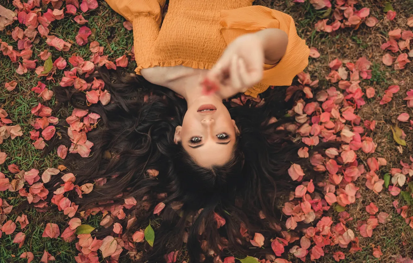 Photo wallpaper grass, look, leaves, girl, brunette, blouse, shoulders