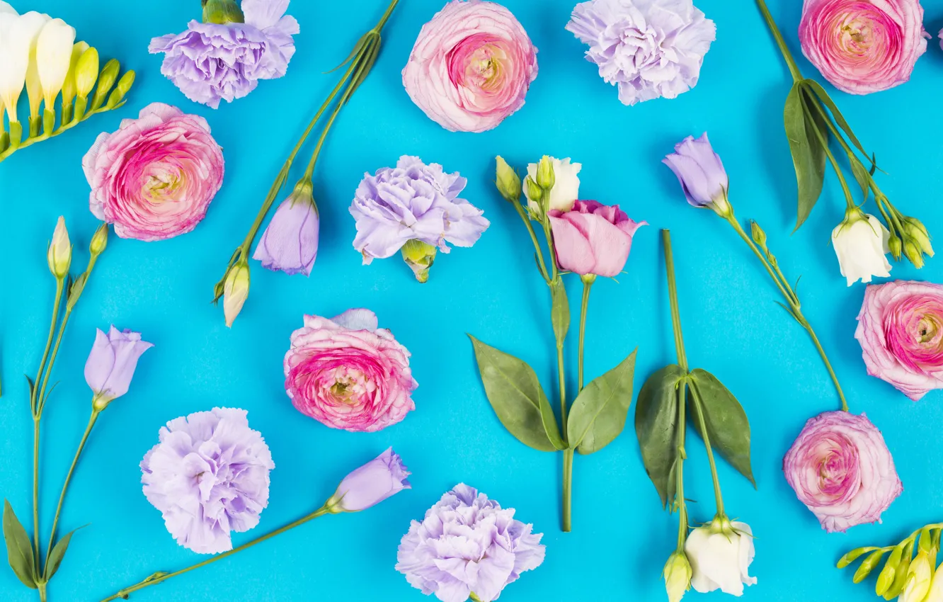 Photo wallpaper flowers, roses, buds, fresh, pink, flowers, roses, violet