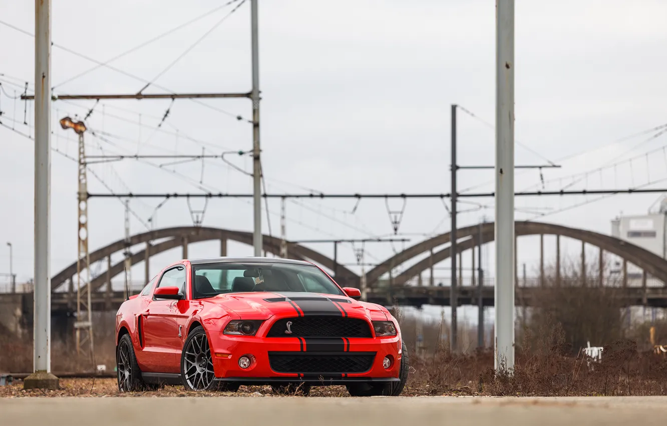 Photo wallpaper Mustang, Ford, Shelby, GT500, 2012, Race Red