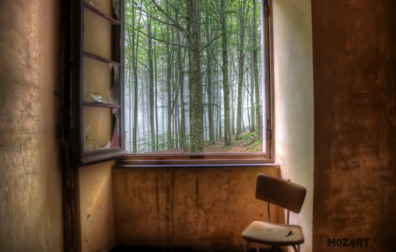 Photo wallpaper forest, room, window
