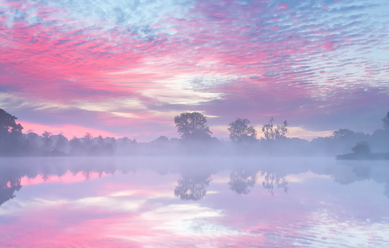 Photo wallpaper autumn, fog, lake, morning, Netherlands, September