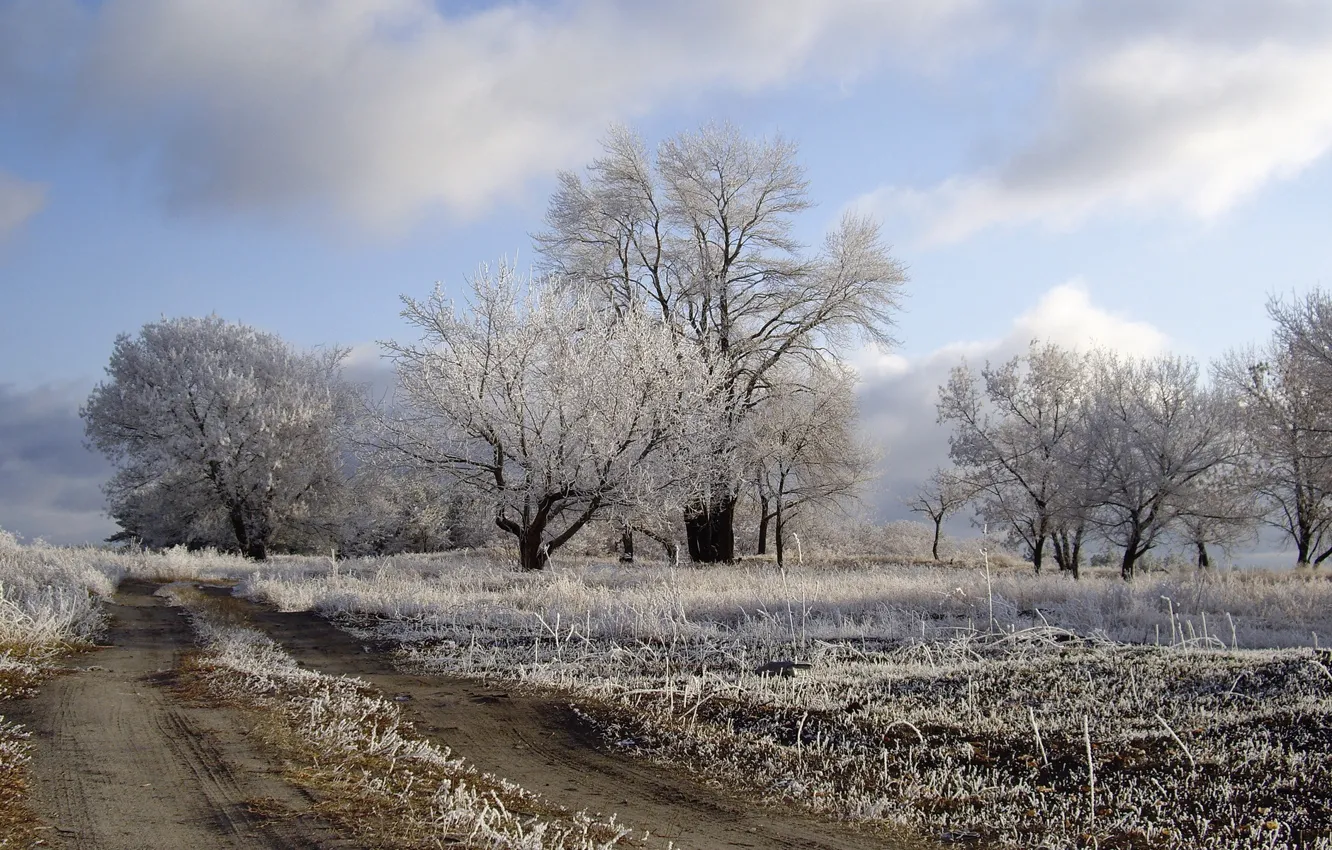 Photo wallpaper frost, road, field, nature
