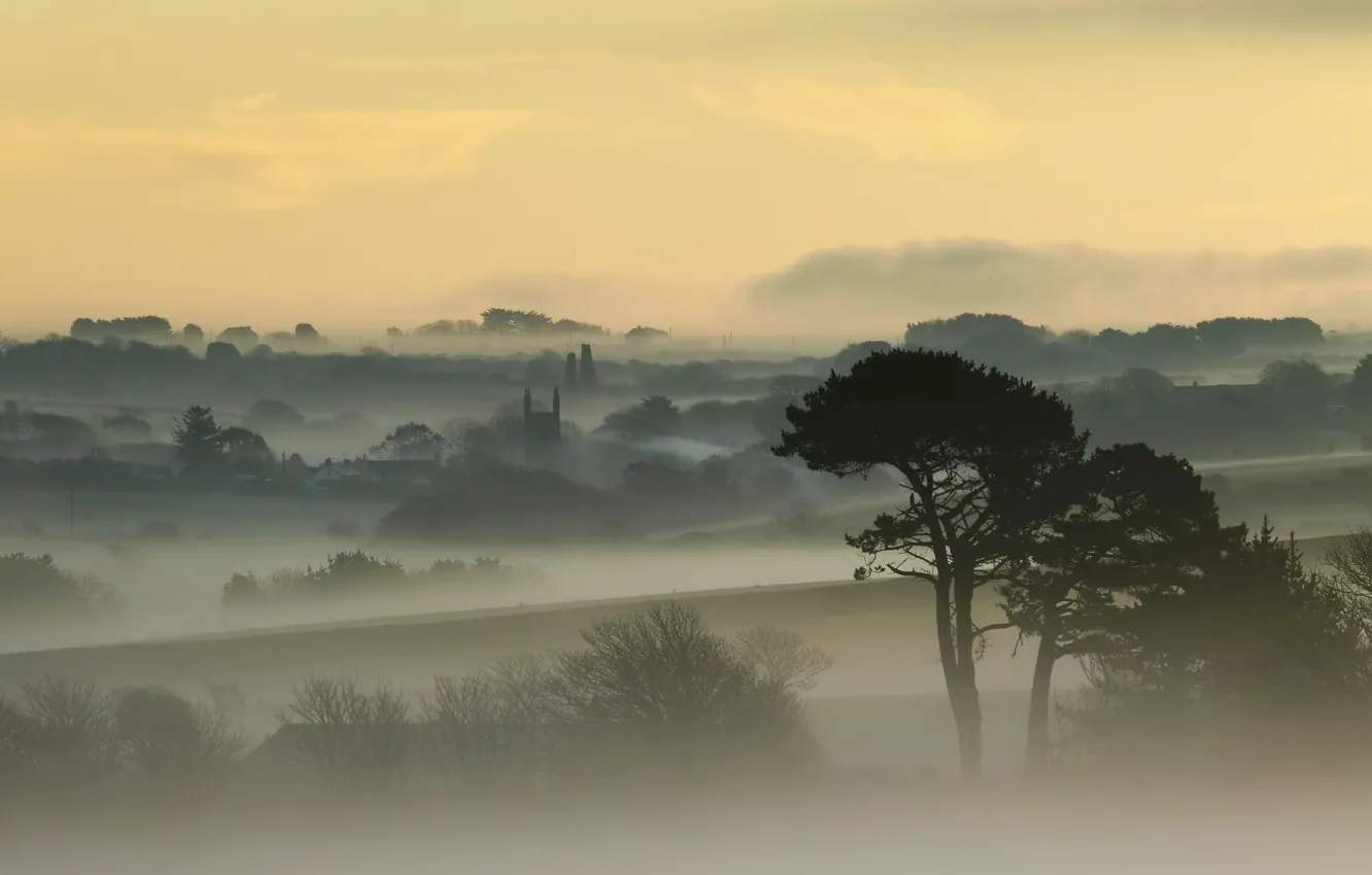 Photo wallpaper the sky, trees, fog, dawn, England, home, England, Cornwall