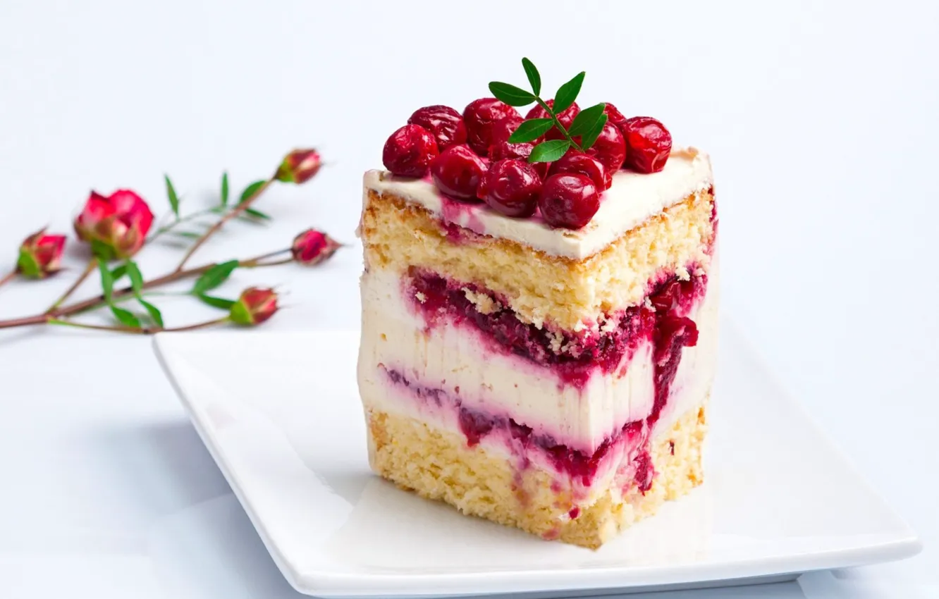 Photo wallpaper cake, cranberry, layer