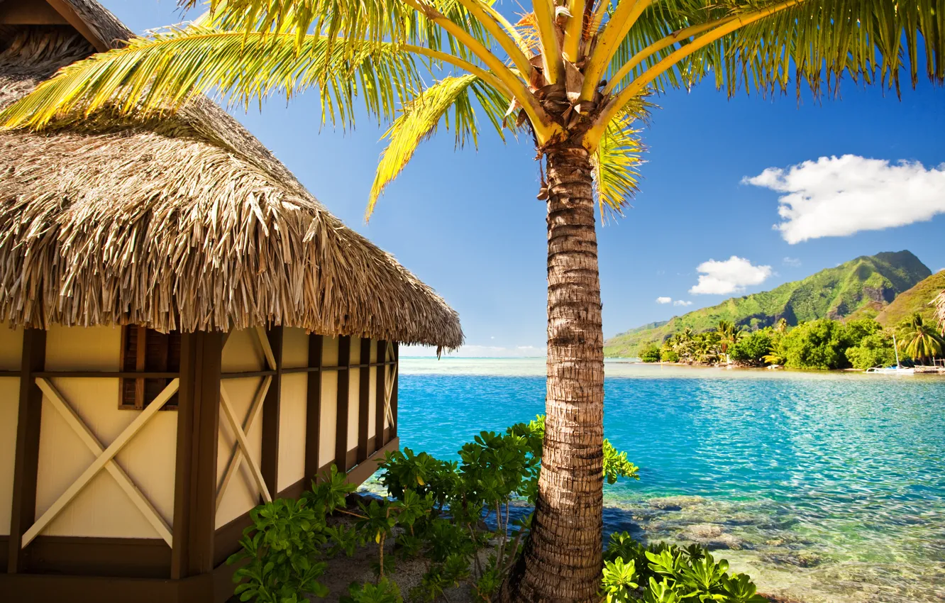 Photo wallpaper sea, beach, tropics, palm trees, summer, hut, sunshine, beach