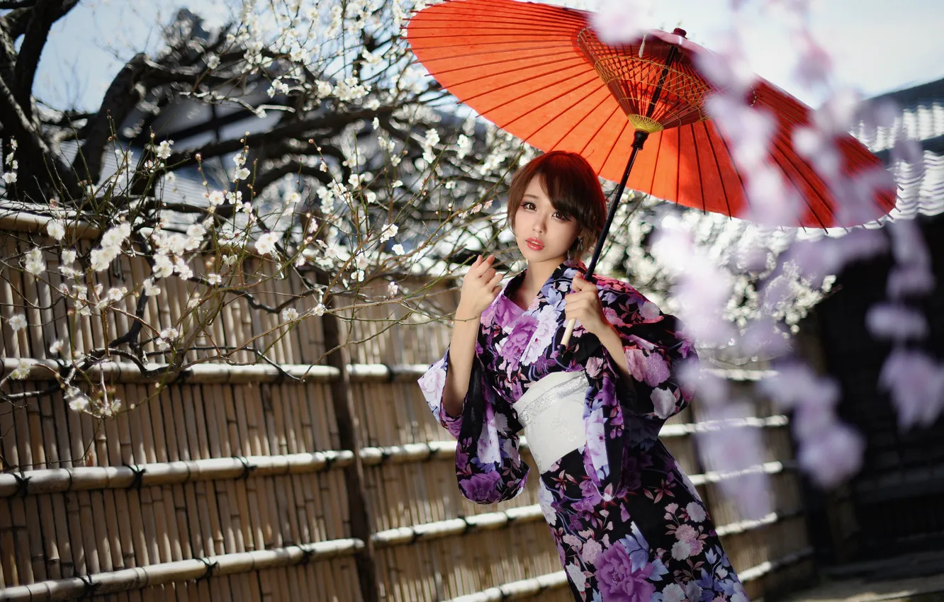 Photo wallpaper style, umbrella, background, Asian