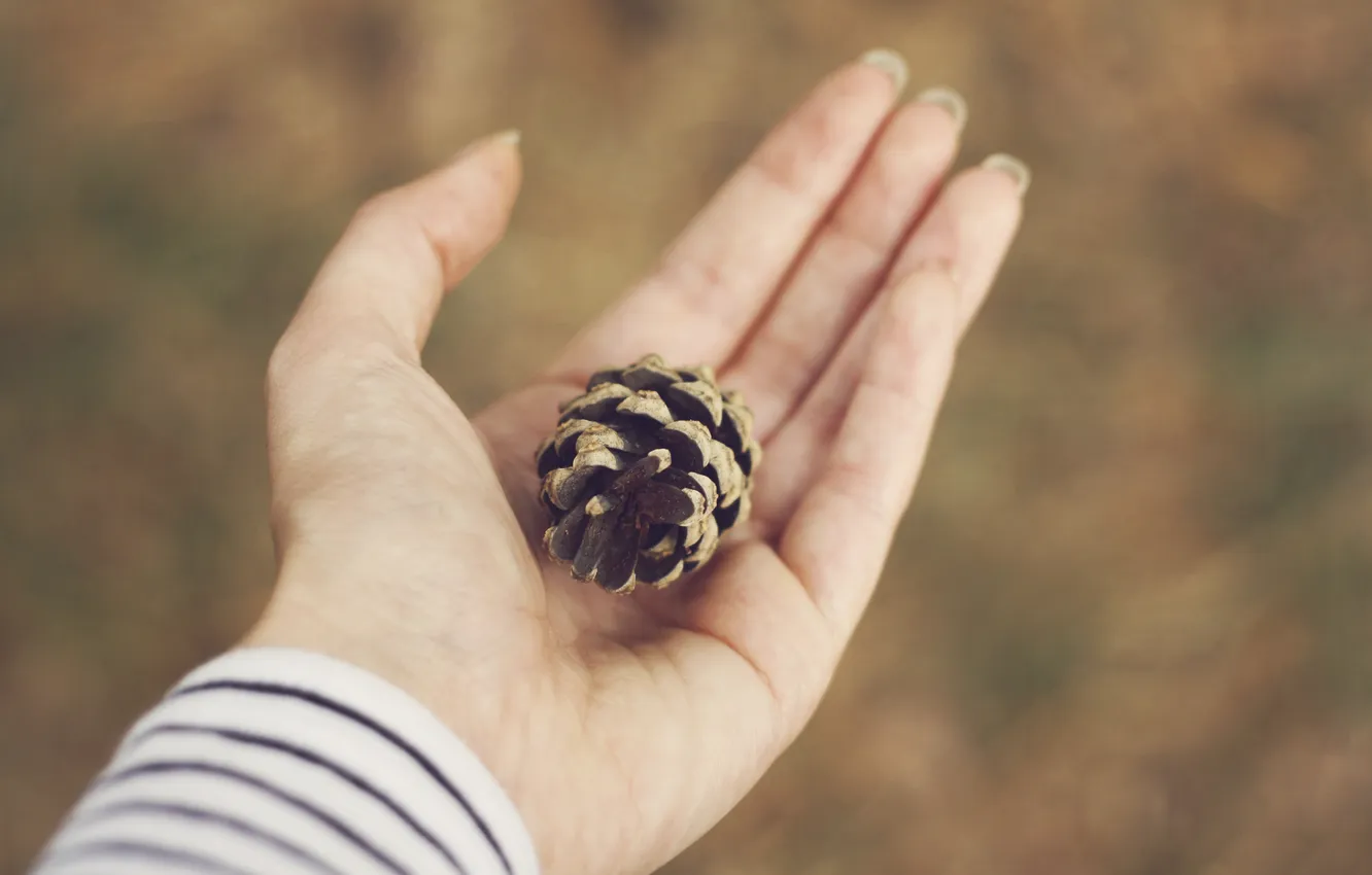 Photo wallpaper hands, fingers, palm, bumps