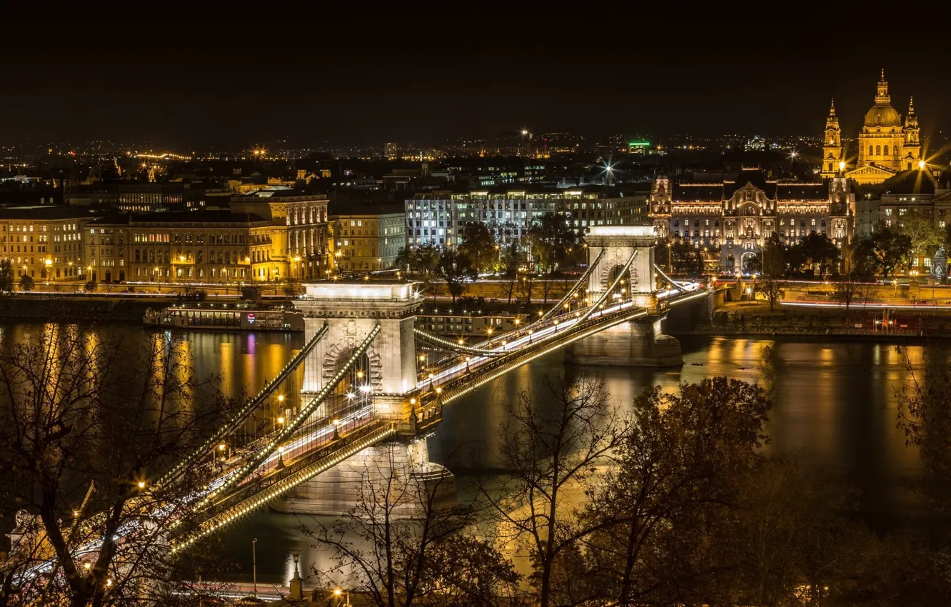 Photo wallpaper night, bridge, the city, lights, river, Hungary, Budapest