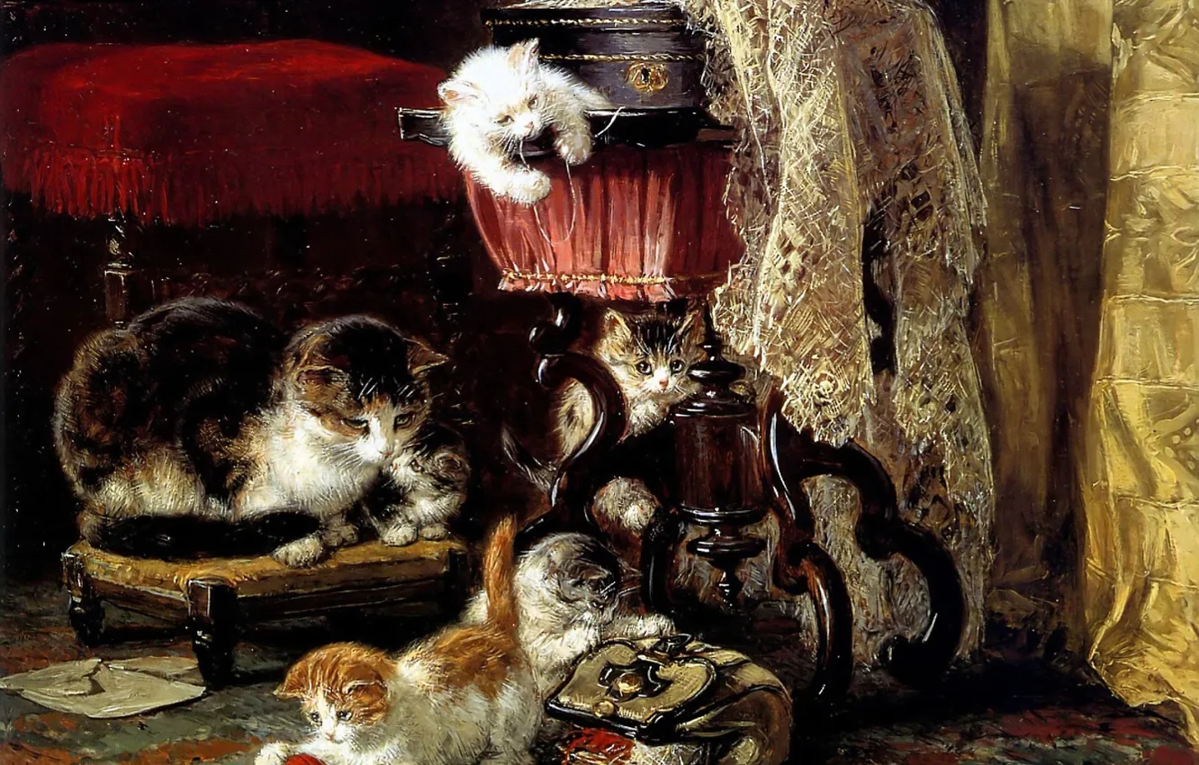 Photo wallpaper cat, cat, kitty