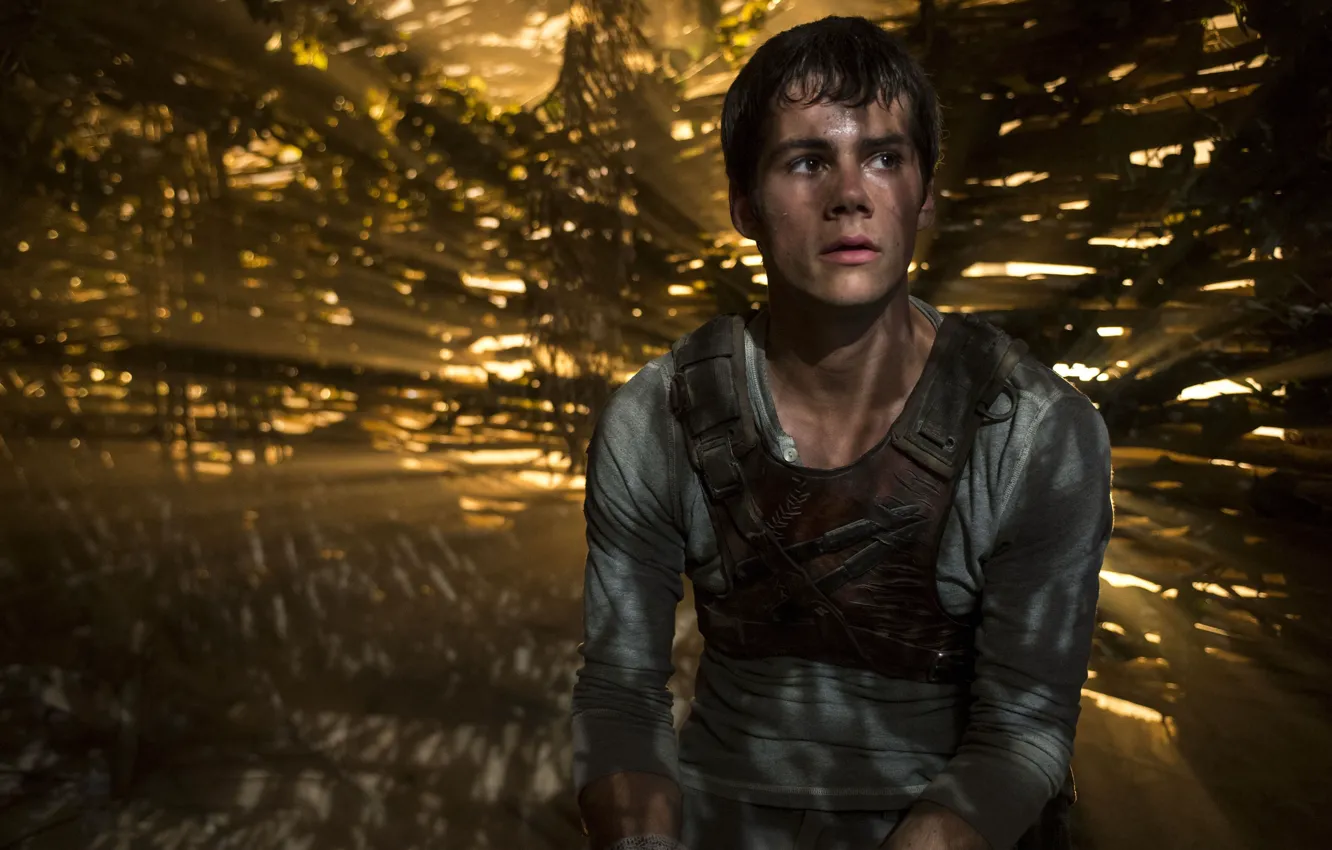 Photo wallpaper cinema, Earth, dust, boy, survivor, movie, bamboo, film