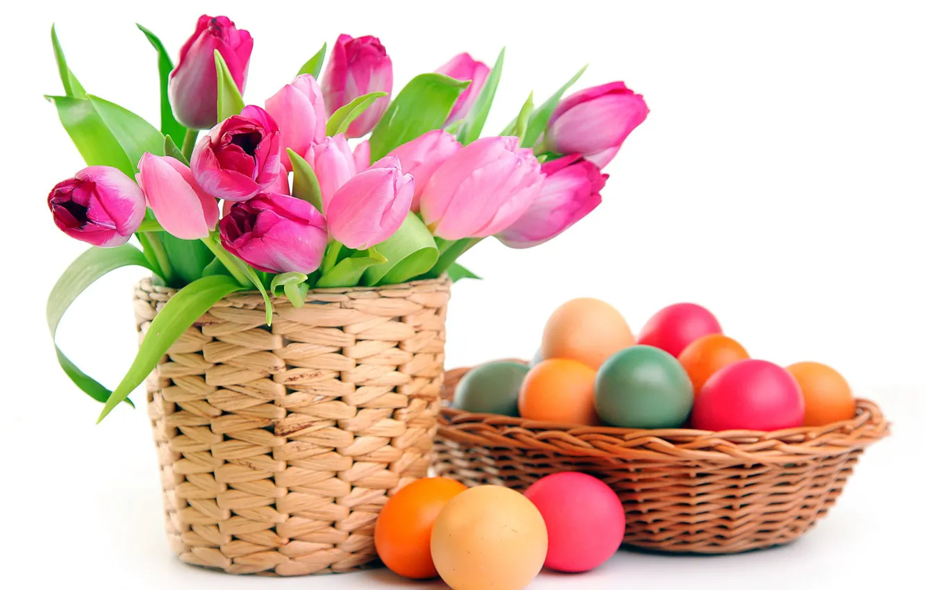 Photo wallpaper eggs, Easter, tulips, easter, white background
