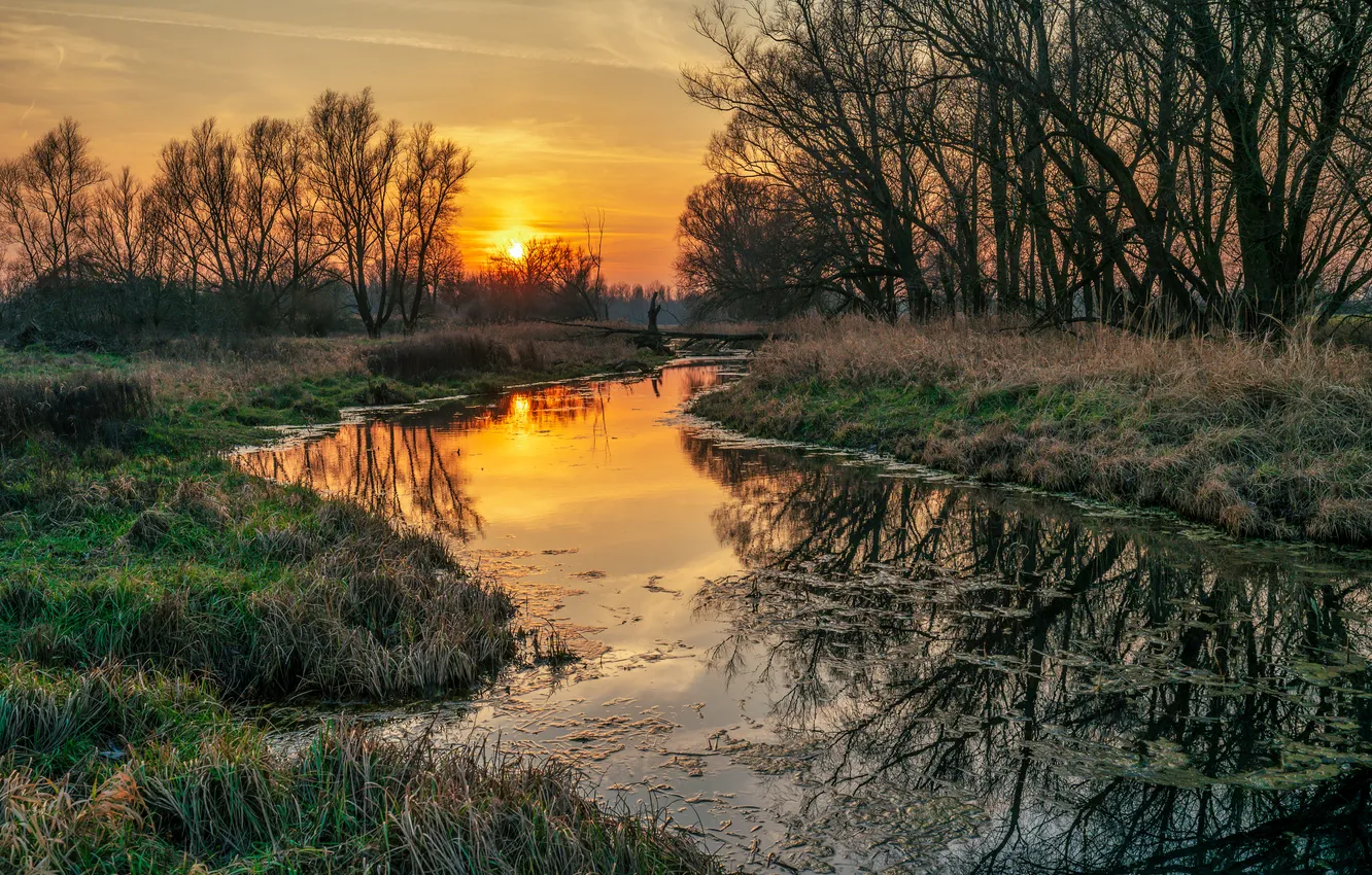 Photo wallpaper summer, sunset, river