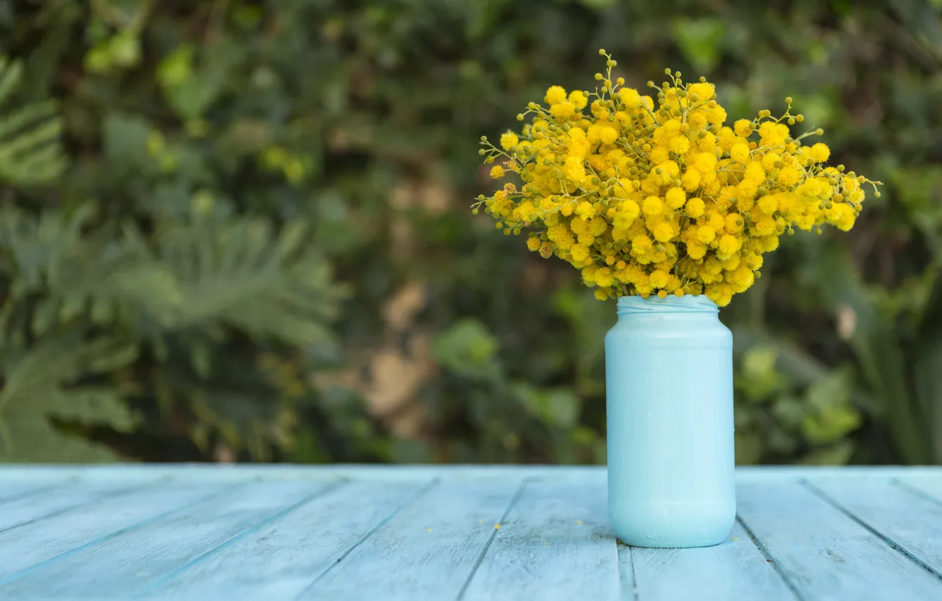 Photo wallpaper flowers, bouquet, Mimosa