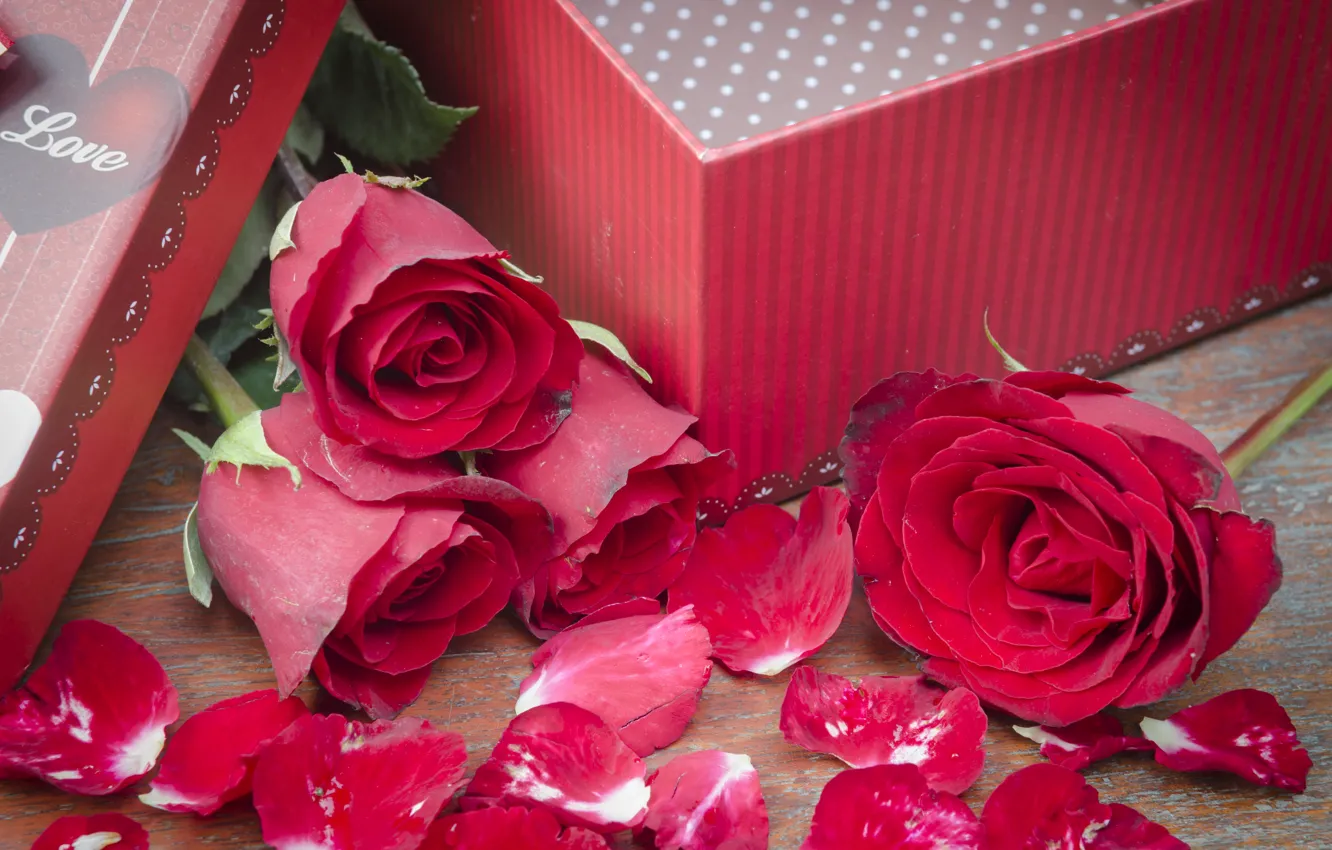 Photo wallpaper flowers, gift, roses, pink, flowers, romantic, gift, roses