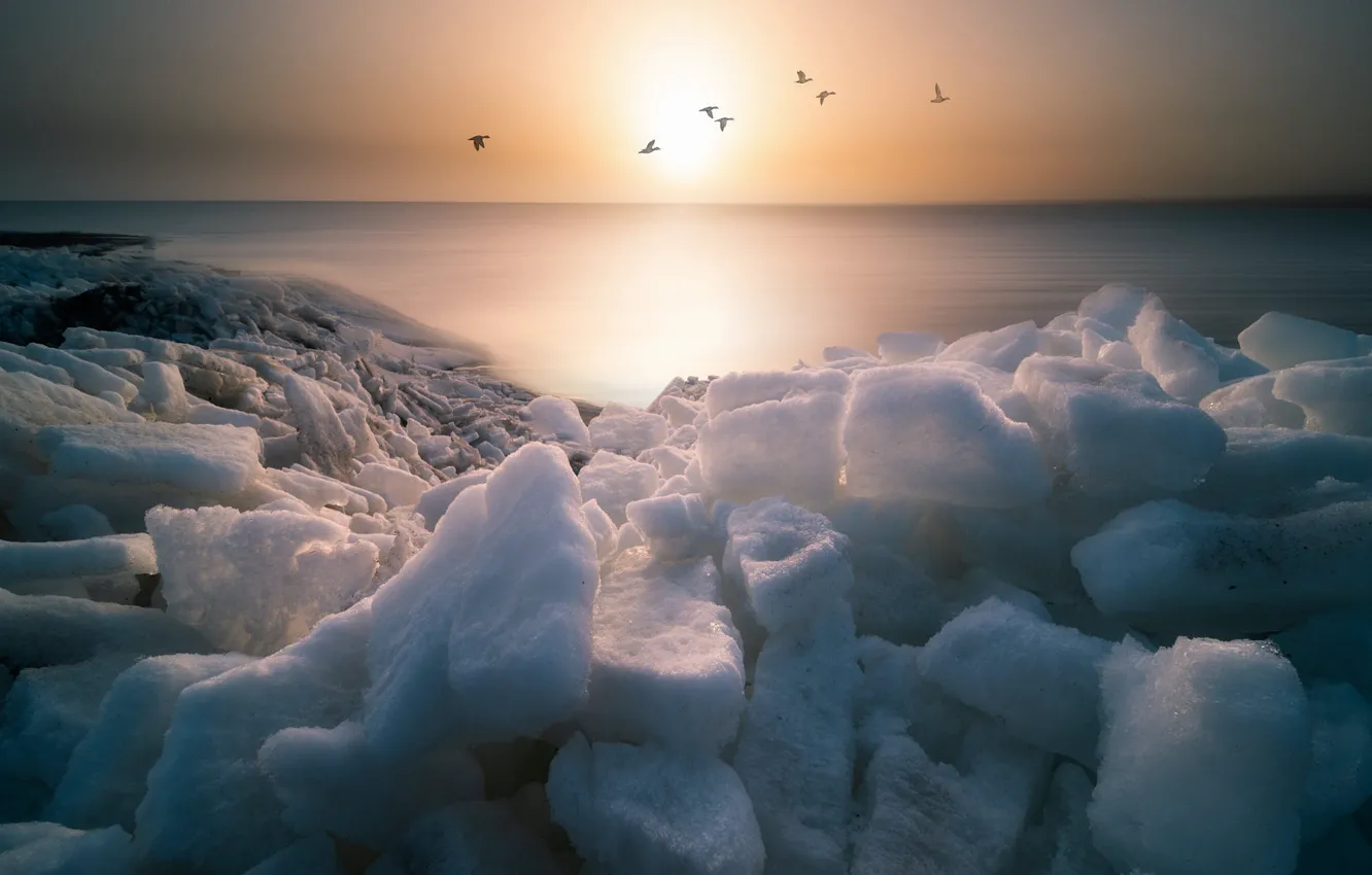 Photo wallpaper ice, winter, the sky, the sun, clouds, snow, sunset, bird