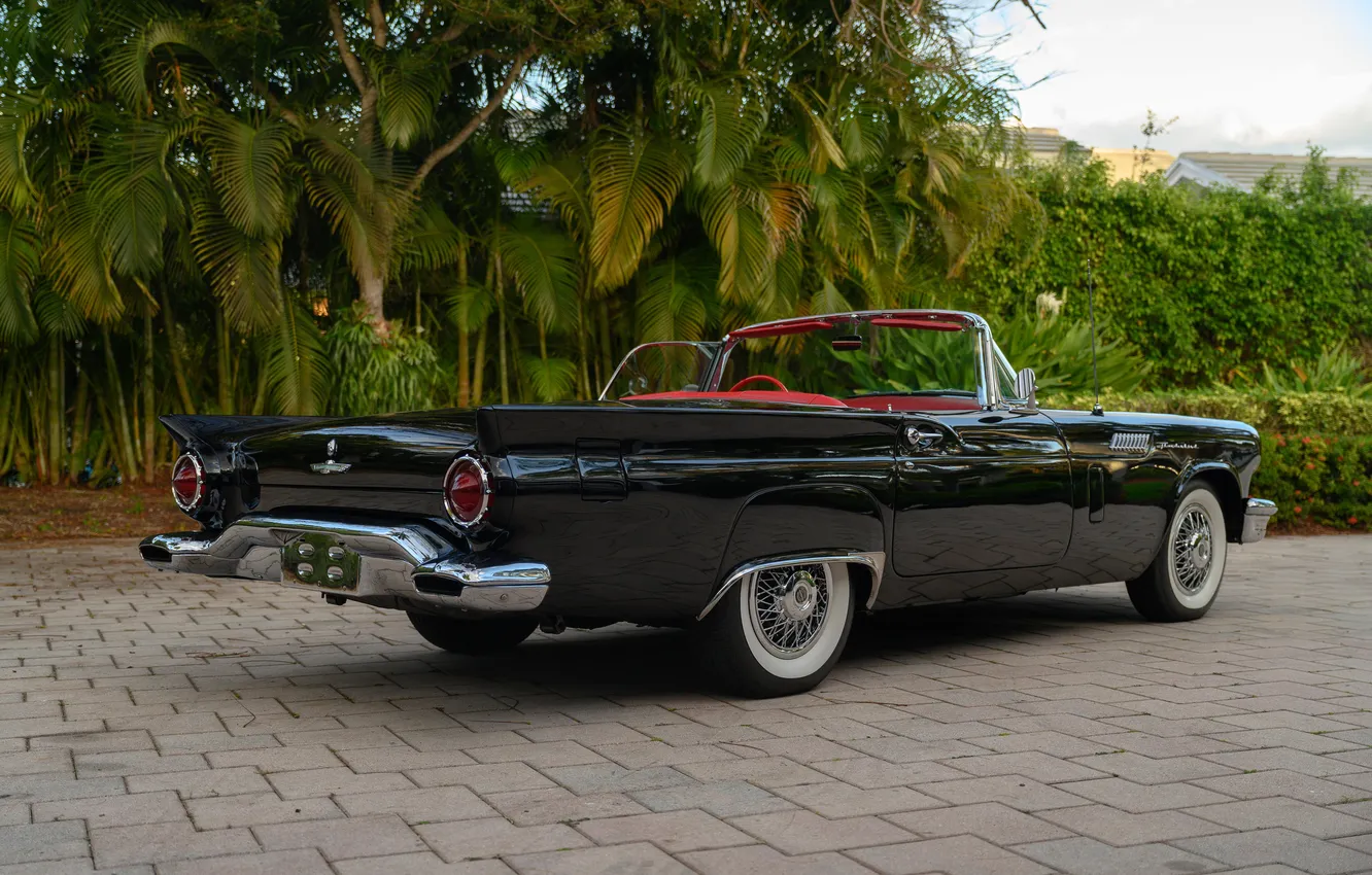 Photo wallpaper Ford, Ford, 1957, retro cars, Thunderbird, Retro Cars, Ford Thunderbird E-Code, E-Code