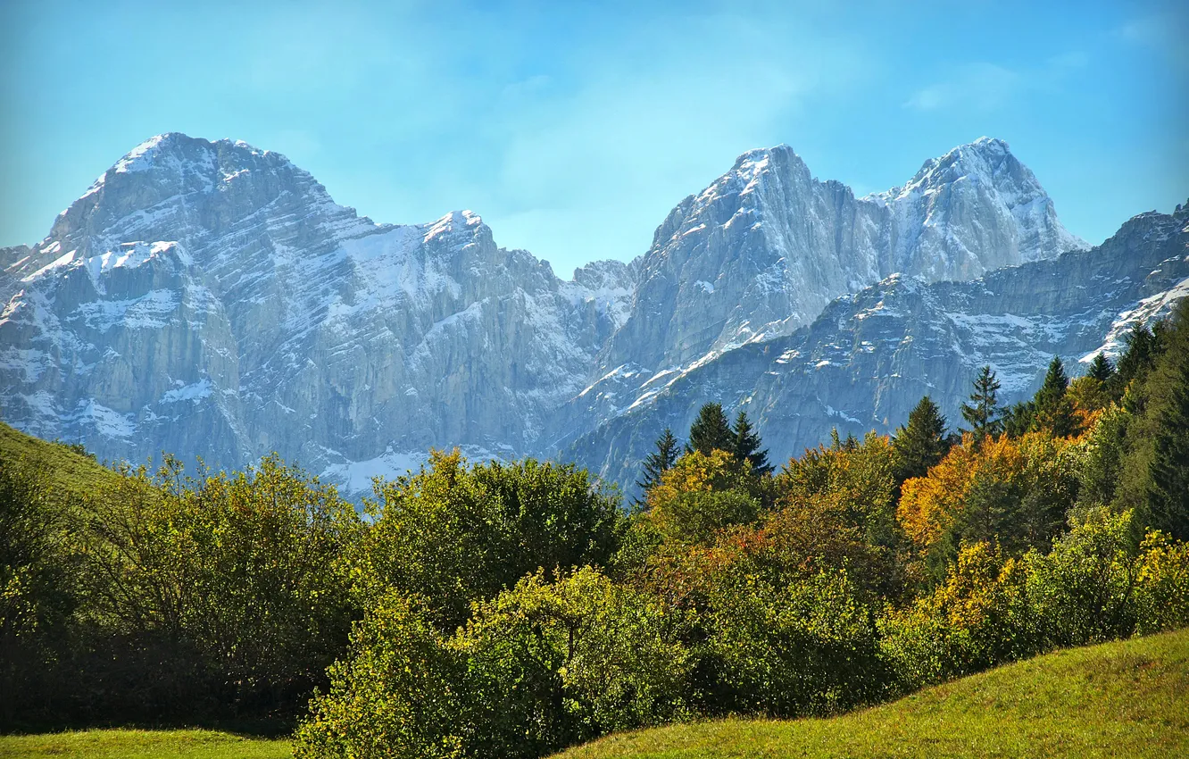 Photo wallpaper grass, the sun, trees, mountains, rocks, Italy, the bushes, snow