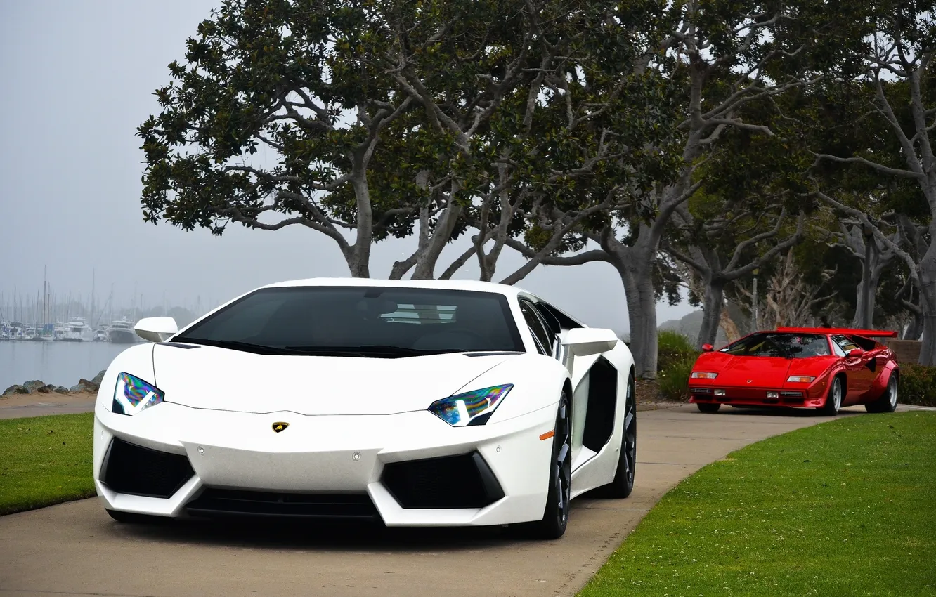 Photo wallpaper white, trees, red, lawn, Marina, Lamborghini, red, white