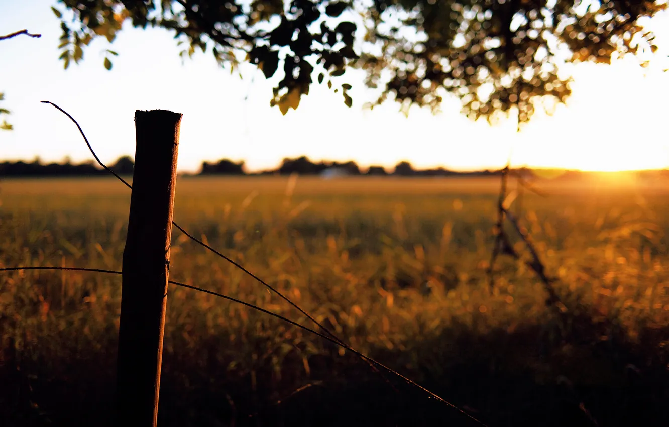Photo wallpaper field, grass, the sun, rays, sunset, wire, the evening, space