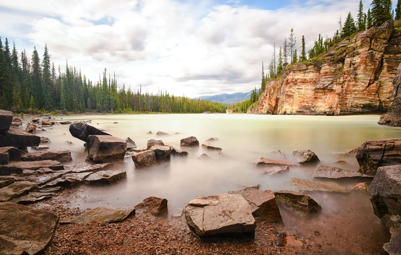 Photo wallpaper forest, nature, shore