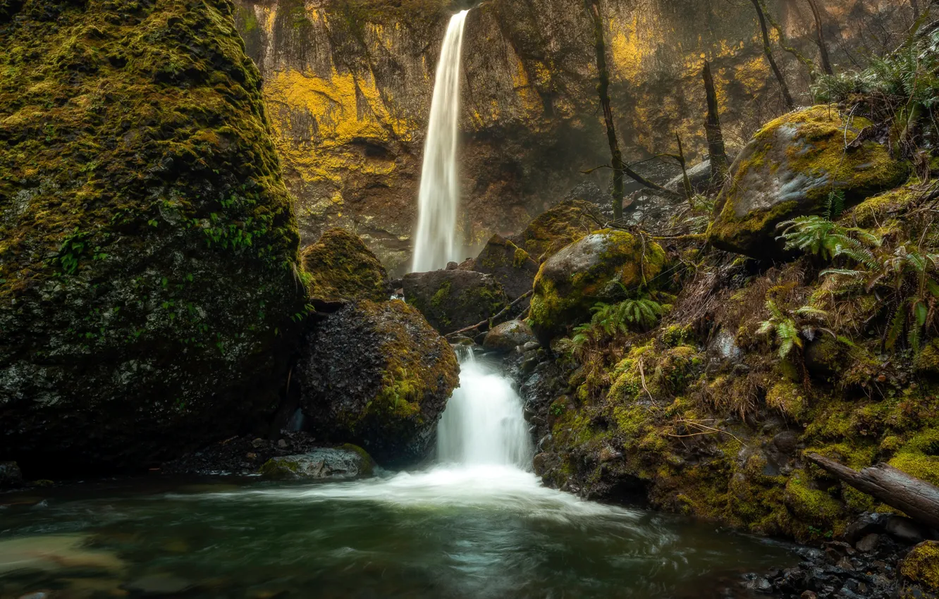 Photo wallpaper forest, rock, stones, waterfall, moss, Elowa Falls