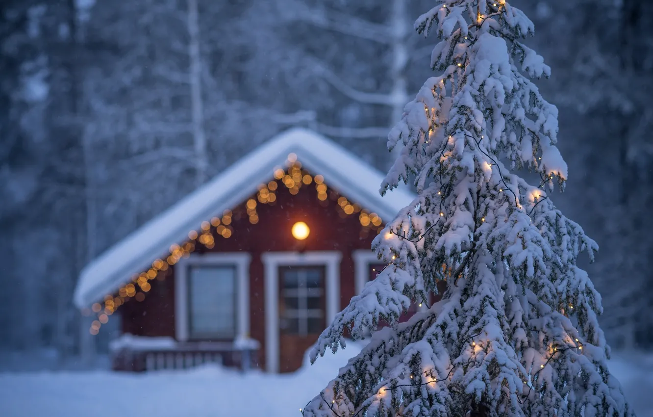 Photo wallpaper winter, house, spruce, garland, Finland, Finland, Lapland, Lapland