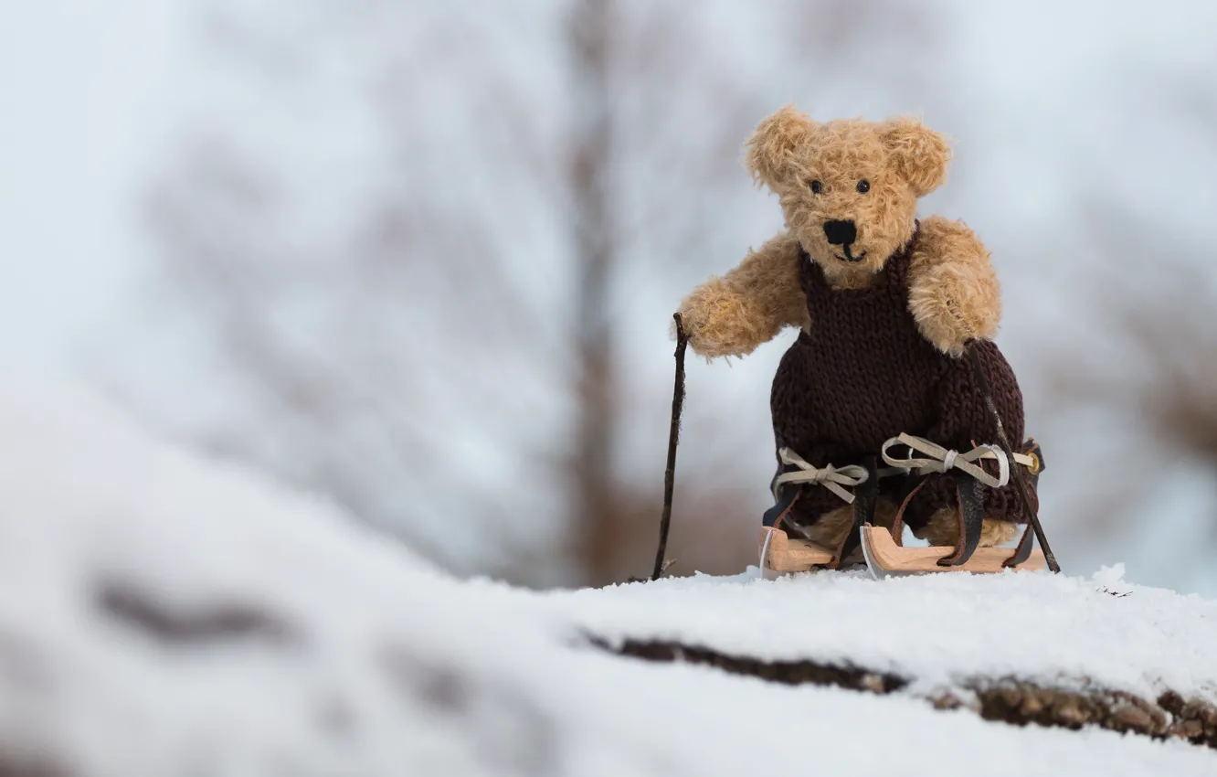 Photo wallpaper winter, snow, nature, background, mood, clothing, toy, ski