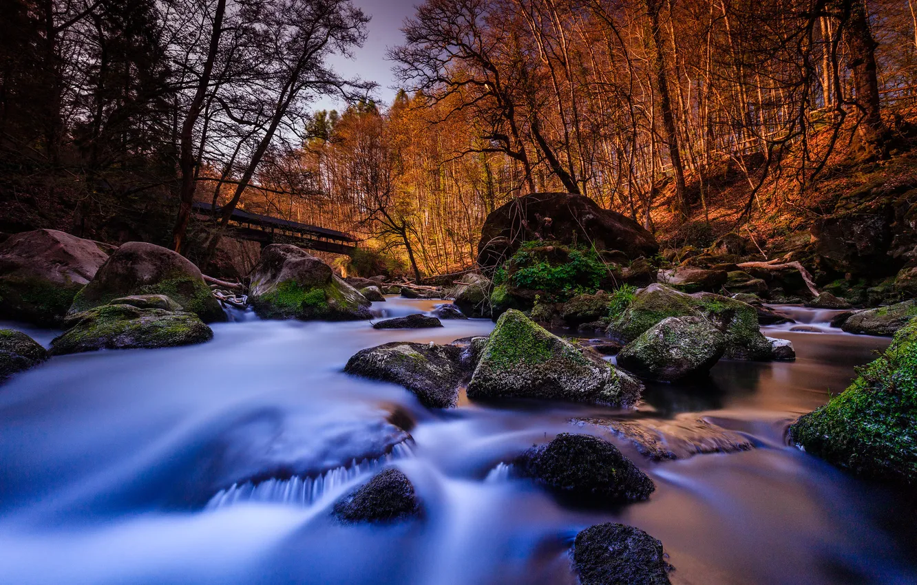 Photo wallpaper forest, stones, Germany, river, Rhineland-Palatinate