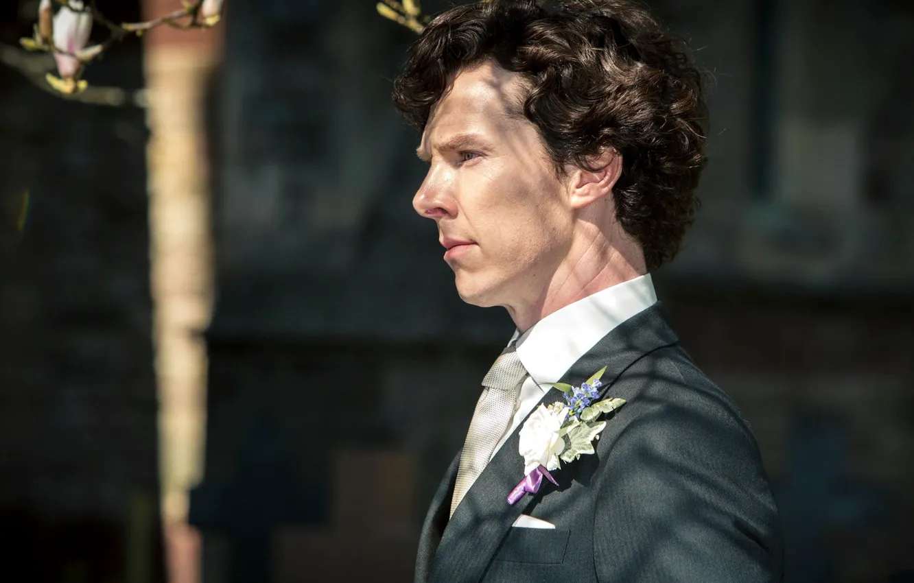 Photo wallpaper rose, tuxedo, Benedict Cumberbatch, Sherlock, Sherlock BBC, Sherlock Holmes, Sherlock (TV series), the best man