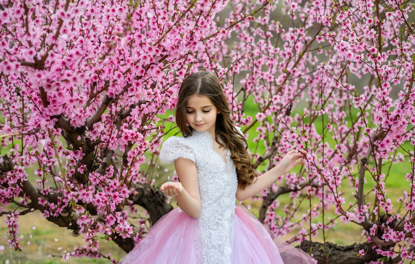 Photo wallpaper trees, spring, Sakura, dress, girl, girl, flowering, pink