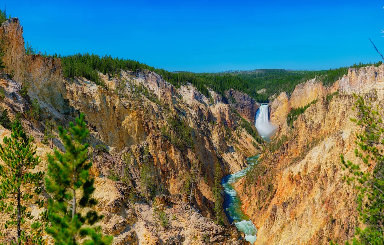 Photo wallpaper forest, the sky, the sun, trees, river, stones, rocks, waterfall