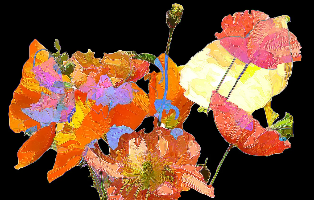 Photo wallpaper line, flowers, background, paint, Maki, bouquet, petals