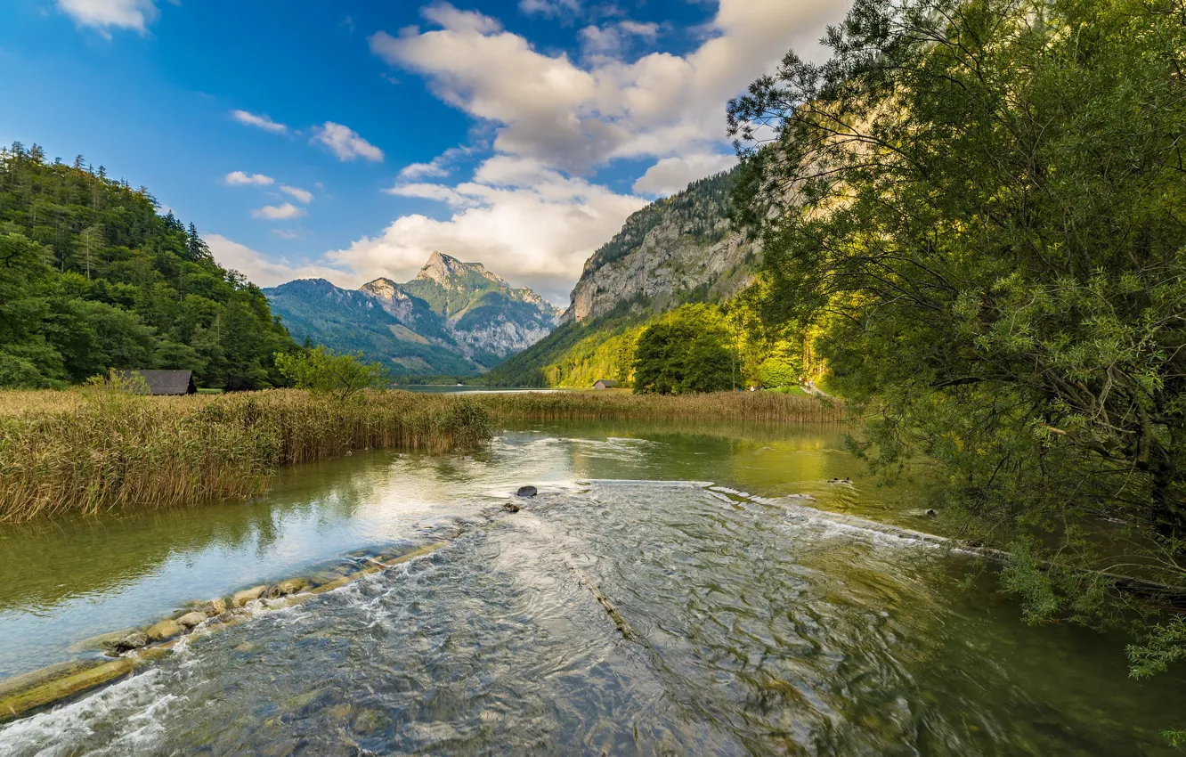 Photo wallpaper greens, forest, the sky, grass, clouds, trees, mountains, river